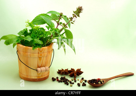 Seau en bois remplis de plantes aux épices Banque D'Images