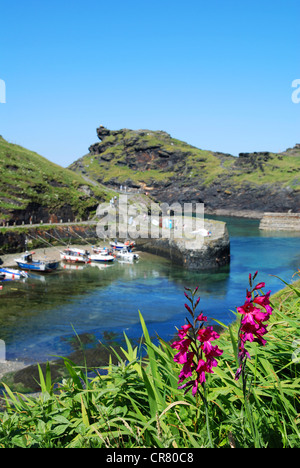 Le village côtier de Boscastle à North Cornwall, UK Banque D'Images