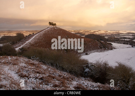 Colmer's Hill en hiver : cette modeste mais distinctive Hill est devenu un établissement emblématique de la région de West Bridport Dorset. Angleterre, Royaume-Uni. Banque D'Images