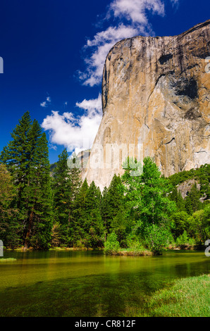 El Capitan au-dessus de la rivière Merced, Yosemite National Park, California USA Banque D'Images