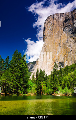 El Capitan au-dessus de la rivière Merced, Yosemite National Park, California USA Banque D'Images