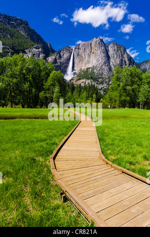 Grâce à la promenade meadow en vertu de Yosemite Falls, Yosemite National Park, California USA Banque D'Images