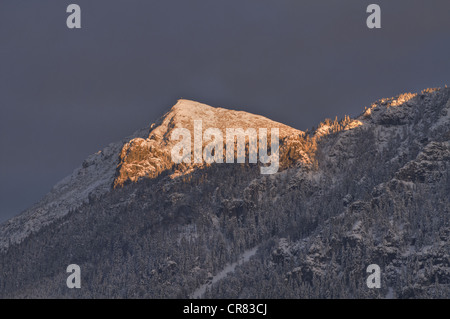 Lumière du soir en hiver, Alpes de Chiemgau, Upper Bavaria, Germany, Europe Banque D'Images