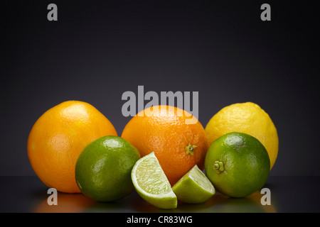 L'oranger (Citrus sinensis), citron (Citrus limon) et limes (Citrus latifolia), sur une plaque de verre foncé Banque D'Images