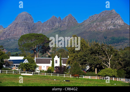 L'Afrique du Sud, Western Cape, Stellenbosch, Cielito wine estate au pied de la montagne, l'architecture néerlandaise Hedelberg Banque D'Images