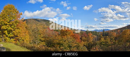 United States, New England, New Hampshire, White Mountains National Forest in autumn, forêt aux couleurs de l'été indien Banque D'Images