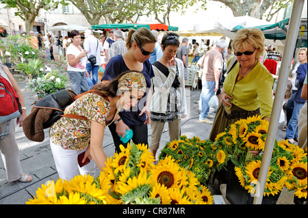 France Gard Uzes répertorié comme ville d'art et d'histoire tournesols bouquet sur Place aux Herbes marché parmi les parfums d'herbes de Provence Banque D'Images