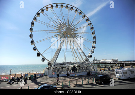 La roue de Brighton sur le front de mer de Brighton Banque D'Images