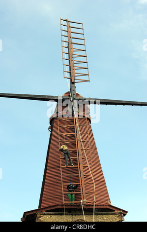 Les hommes au travail la mise en oeuvre de nouveaux coups sur Blatchington Mill Moulin à Hove Banque D'Images