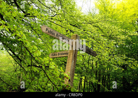 Panneau en bois indiquant Bridleway Public dans les collines du Surrey Banque D'Images