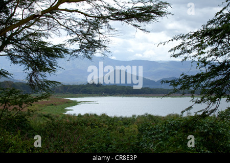 Sur le Lac de Naivasha au Kenya Elsamere Banque D'Images
