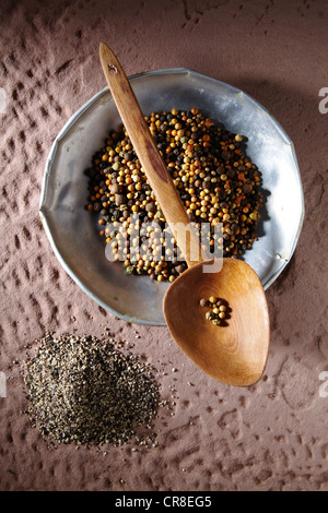 Poivre en grains colorés (Piper nigrum) sur une plaque de métal avec une cuillère en bois et grossièrement moulu sur une base en pierre rustique Banque D'Images
