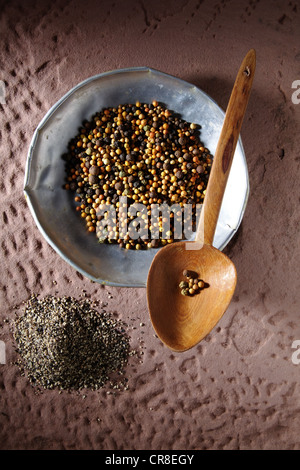 Poivre en grains colorés (Piper nigrum) sur une plaque de métal avec une cuillère en bois et grossièrement moulu sur une base en pierre rustique Banque D'Images