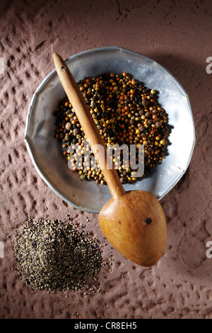 Poivre en grains colorés (Piper nigrum) sur une plaque de métal avec une cuillère en bois et grossièrement moulu sur une base en pierre rustique Banque D'Images