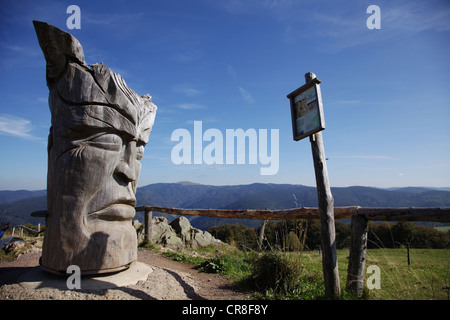 Oeuvre d'art, taillée dans un vieux sapin argenté, 150 ans, par l'artiste Thomas Rees sur le mont Schauinsland, Forêt-Noire Banque D'Images