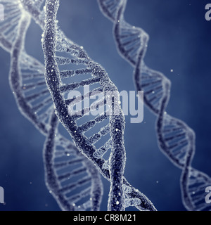 Les molécules en double hélice de l'ADN et de chromosomes Banque D'Images