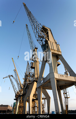 Grues sur le vieux port Schelde Escaut ou, ancienne 'Eilandje' port trimestre, Anvers, Flandre, Belgique, Benelux, Europe Banque D'Images