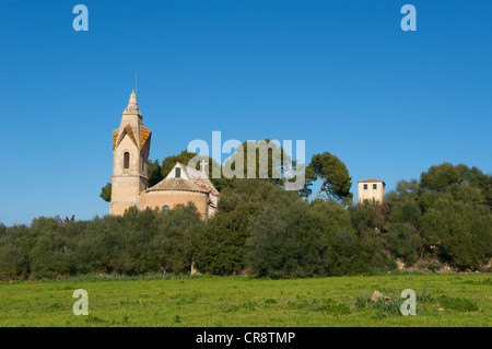 Son Serra de Marina, Majorque, Îles Baléares, Espagne, Europe Banque D'Images