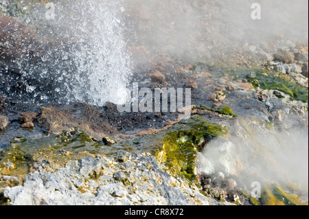 Détail d'un printemps chaud avec des projections d'eau gazeuse et la vapeur bouillante, Islande, Europe Banque D'Images
