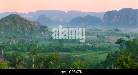 Colline calcaire, terres agricoles et maison de village dans la brume du matin, Vallée de Vinales, site du patrimoine mondial de l'UNESCO, Cuba Banque D'Images