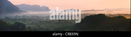 Colline calcaire, terres agricoles et palmeraie dans morning mist, Vallée de Vinales, site du patrimoine mondial de l'UNESCO, Cuba Banque D'Images