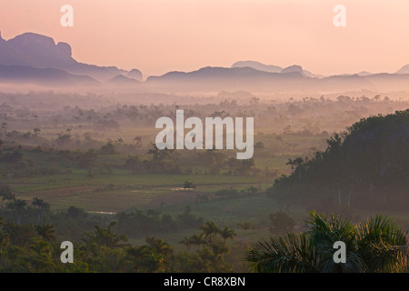 Colline calcaire, terres agricoles et palmeraie dans morning mist, Vallée de Vinales, site du patrimoine mondial de l'UNESCO, Cuba Banque D'Images