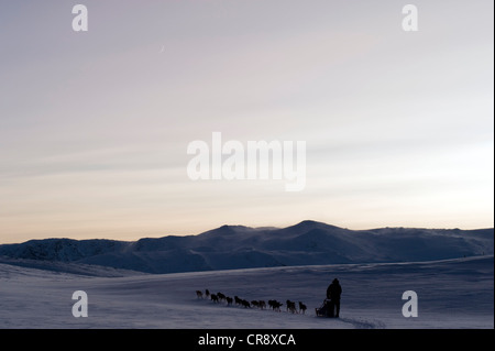 L'équipe de chiens de traîneau en face des montagnes du Finnmark, la Laponie, la Norvège, Europe Banque D'Images