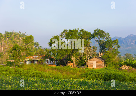 Colline calcaire, terres agricoles et maison de village, vallée de Vinales, site du patrimoine mondial de l'UNESCO, Cuba Banque D'Images