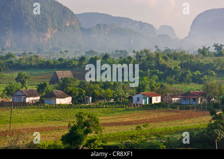 Colline calcaire, terres agricoles et maison de village, vallée de Vinales, site du patrimoine mondial de l'UNESCO, Cuba Banque D'Images