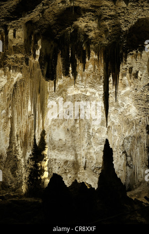 Stalagmites et stalactites dans la Grande Salle, Carlsbad Caverns National Park, New Mexico, USA Banque D'Images