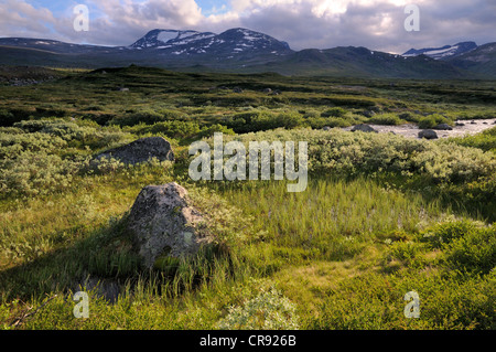 Leirungsdalen Valley, paysage de montagne dans le parc national de Jotunheimen, Norway, Scandinavia, Europe Banque D'Images