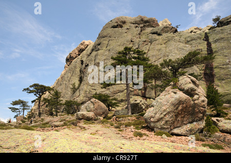 Paysage de montagne, Corse, France, Europe Banque D'Images