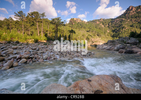 Gorge de Solenzara, Corse, France, Europe Banque D'Images