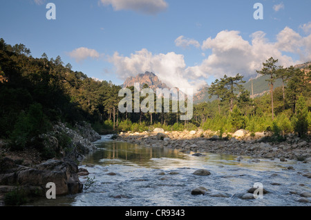 Gorge de Solenzara, Corse, France, Europe Banque D'Images