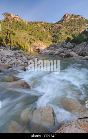 Gorge de Solenzara, Corse, France, Europe Banque D'Images