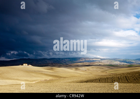 Champs ci-dessous Pienza en automne, Toscane, Italie, Europe Banque D'Images