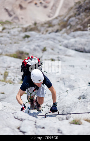 Grimpeur sur le Che Guevara Route de corde fixe sur Mt. Monte dans la vallée du Sarca Casale, Le Lac de Garde, région du Trentin, Italie, Europe Banque D'Images