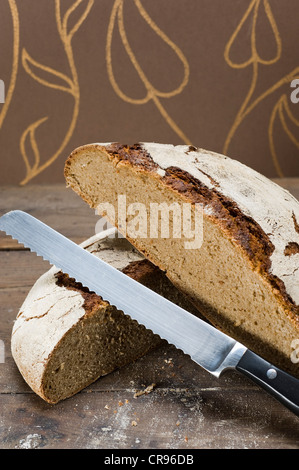 Pain au levain fait maison, le pain cuit dans un four domestique, du pain coupé pour montrer crumb Banque D'Images