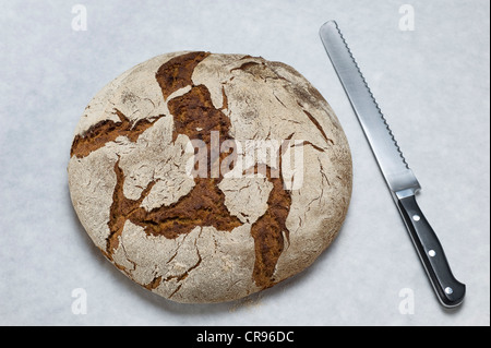 Pain au levain fait maison, le pain cuit dans un four domestique Banque D'Images