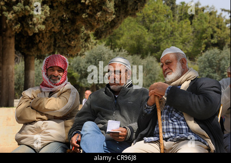 Trois Palestiniens israéliens assis sur un banc, sur le mont du Temple, le quartier musulman, vieille ville, Jérusalem, Israël, Moyen Orient Banque D'Images