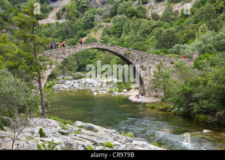 Vieux pont de pierre Genovese sur la rivière Porto près du village d'Ota, les gorges de Spelunca, Corse, France, Europe Banque D'Images