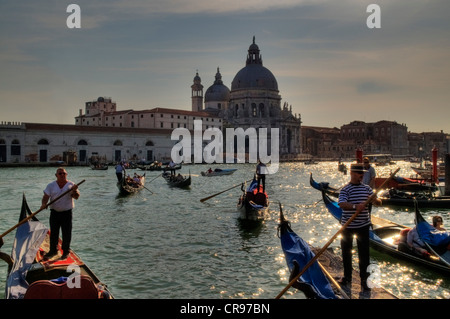 Vue de la Place Saint-Marc en direction de la Chiesa di Santa Maria della Salute Eglise dans la lumière du soir, avec le retour des gondoles Banque D'Images