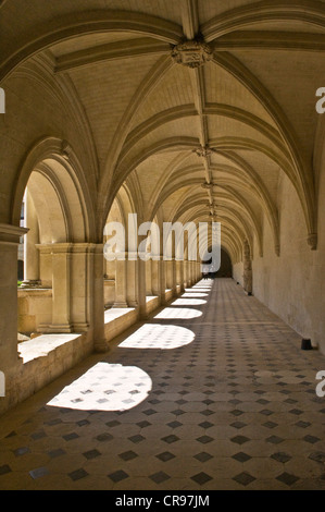 Cloître médiéval, Abbaye de Fontevraud, abbaye romane Aquitaine, construit de 1105 à 1160, Fontevraud-l'Abbaye Banque D'Images