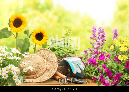 Outils de jardinage et de fleurs en plein air Banque D'Images