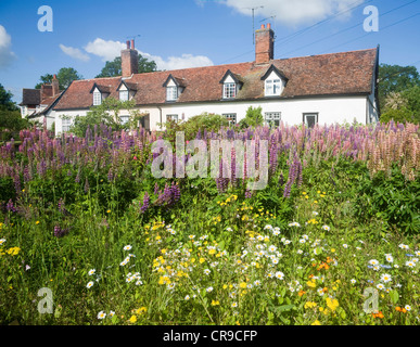 Joli chalet jardin Great Finborough, Suffolk, Angleterre Banque D'Images