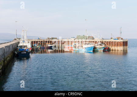 Tingwall Port et bateaux de pêche - îles Orkney, Ecosse Banque D'Images