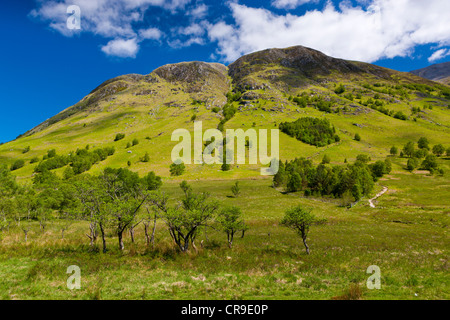 Sentier de marche jusqu'à Ben Nevis, le plus haut sommet d'Ecosse à 1344 mètres, l'Ecosse, Lochaber Banque D'Images