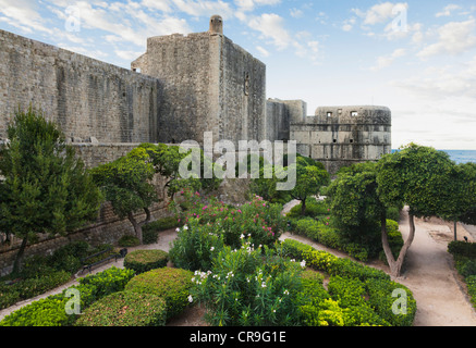 Un jardin avec des haies et chemins coupés, en dehors des murs de la vieille ville de Dubrovnik. Banque D'Images