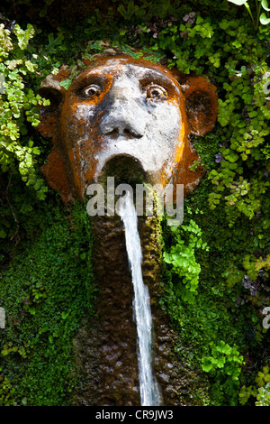 Détail de la Villa d'Este à Tivoli, près de Rome - Italie Banque D'Images