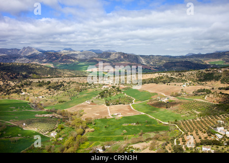 Paysage pittoresque avec des champs cultivés et de vertes prairies de la campagne vallonnée de l'Andalousie, dans le sud de l'Espagne. Banque D'Images